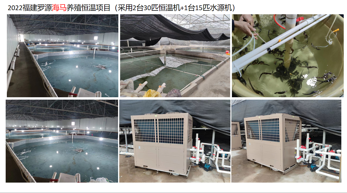 福建罗源海马养殖恒温项目