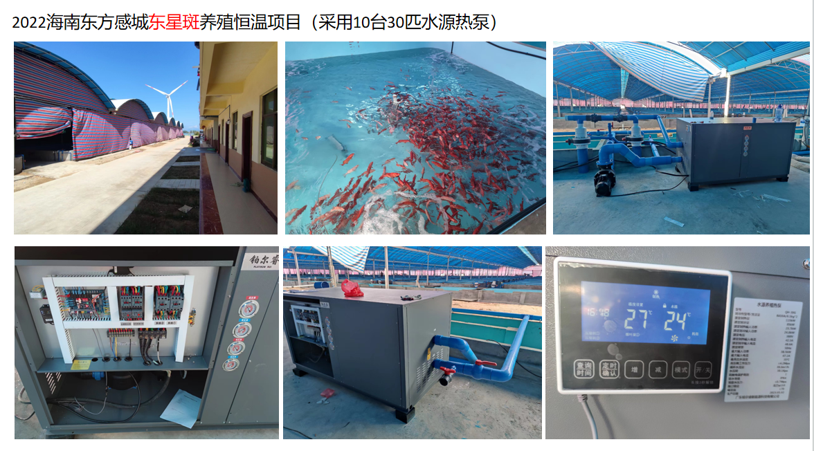 海南东方感城东星斑养殖恒温项目